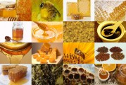 Продукты пчеловодства и их свойства