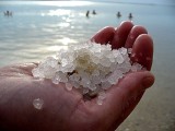 Живые соли Мёртвого моря