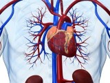 Методы лечения ишемической болезни сердца